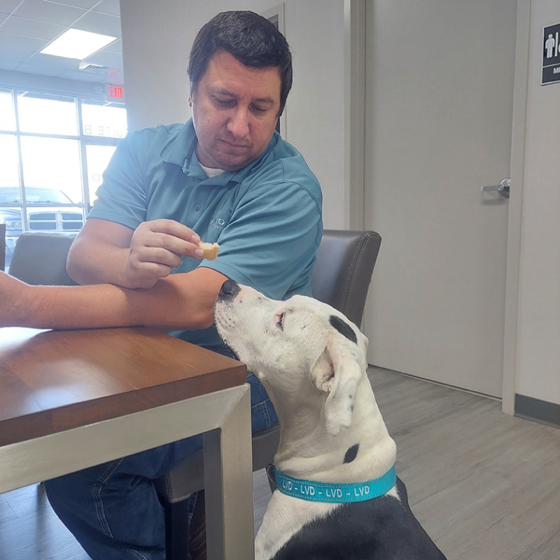 Rocko having lunch at the LVD Southeast Support Center