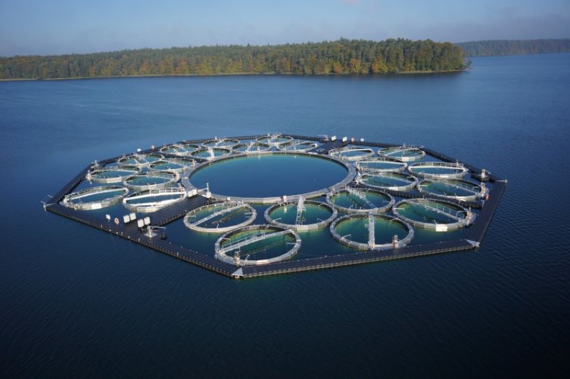 Pontoon project LakeLab lake Stechlin”